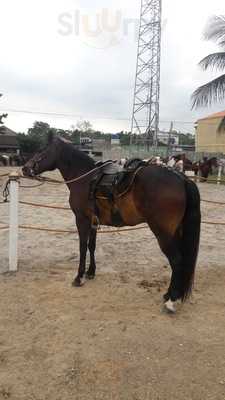 Rancho Petisco Da Prata