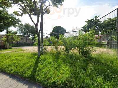 Restaurante Sabor Regional