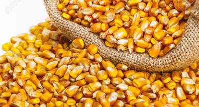 Salgolandia Doces E Salgados