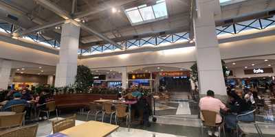 La Calaca Nova América