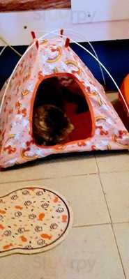 Restaurante Quero Mais