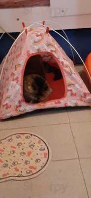 Restaurante Quero Mais