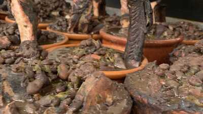 Bar E Lancheria Do Nando