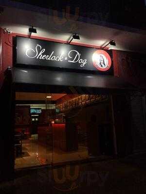 Sherlock & Dog Pompéia