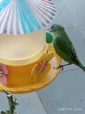 Casa Do Pão De Queijo