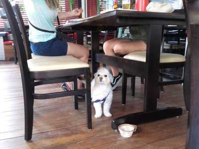 Why Comida De Boteco