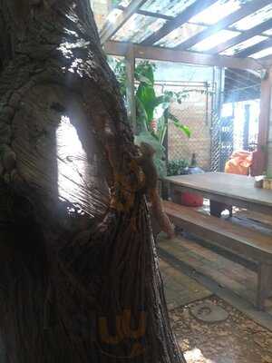 República Das Bananas