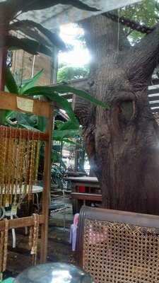 República Das Bananas