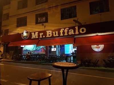 Mr Buffalo