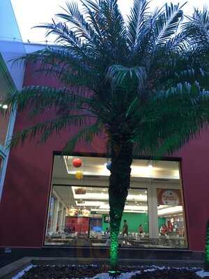 Raposo Tavares Point