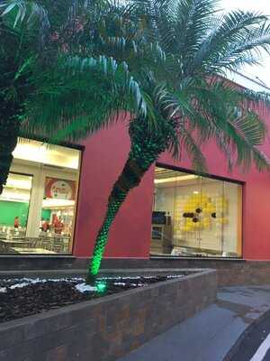 Raposo Tavares Point