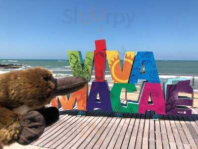 Duckbill Cookies & Coffee