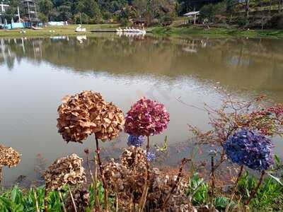 Parque De Eventos Tomasini - Restaurante Carazal