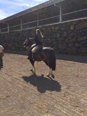 Restaurante Cultural Parque Do Gaúcho