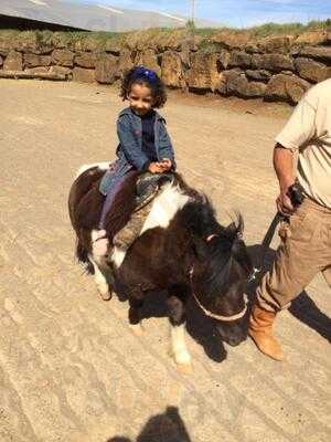 Restaurante Cultural Parque Do Gaúcho