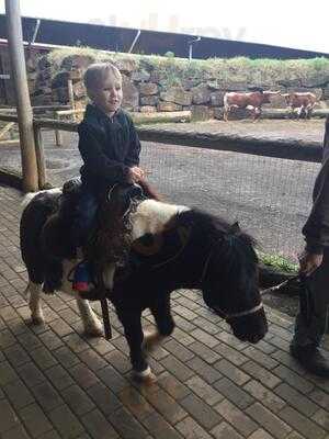 Restaurante Cultural Parque Do Gaúcho