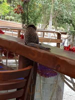 Chacara San Fernando