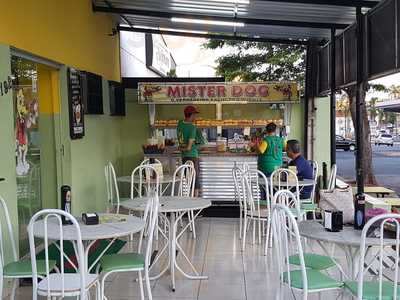 Mister Dog