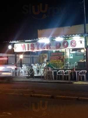 Mister Dog