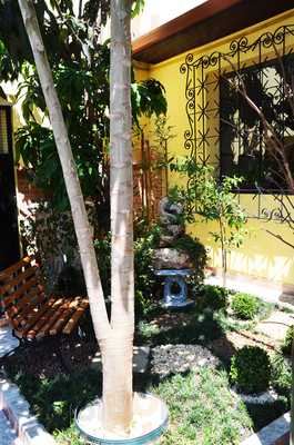 Chris Disse Cozinha Nacional