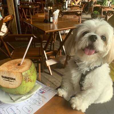 Tangerina Gastro Bar