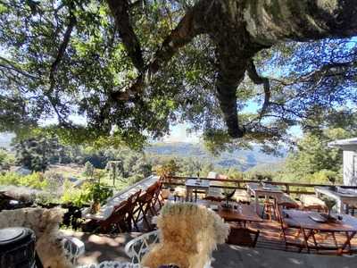 Restaurante Casa Figueira