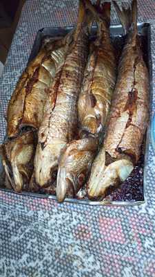 Bar Do Sertao Do Cacau