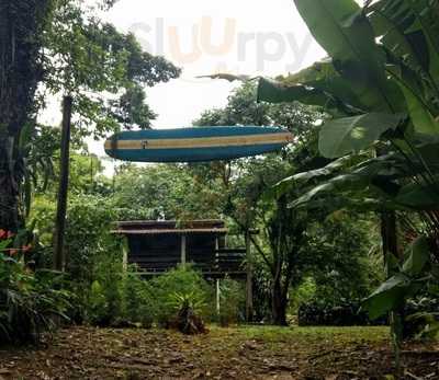 Bar Do Sertao Do Cacau