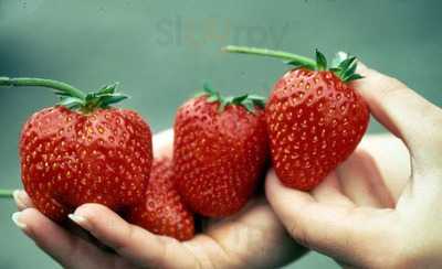 Padaria E Confeitaria Da Praca