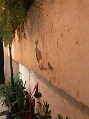 Veggie Raw Burger N Bar