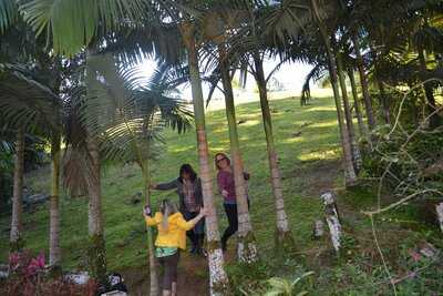 Recanto Do Guarapuvu