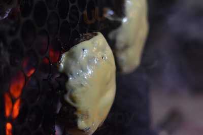 Sabor Internacional Lanches