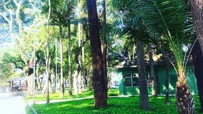 Joao Evandros Bar E Lanchonete