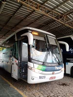 Restaurante Papagaio