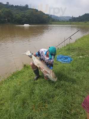 Pesqueiro Dos Amigos