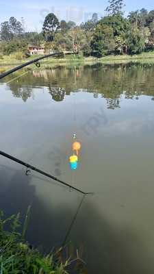 Pesqueiro Dos Amigos