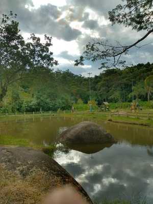 Panificadora Nossa Senhora Do Pilar
