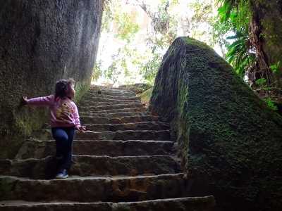 Panificadora Nossa Senhora Do Pilar