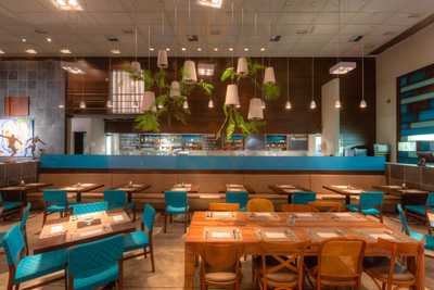 Kinday Sushi & Pasta