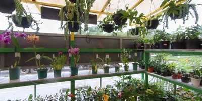 Hotel E Churrascaria 41