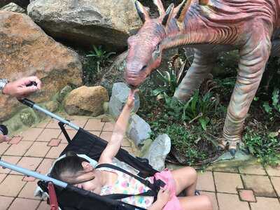 Florybal - Chocolateria Origens