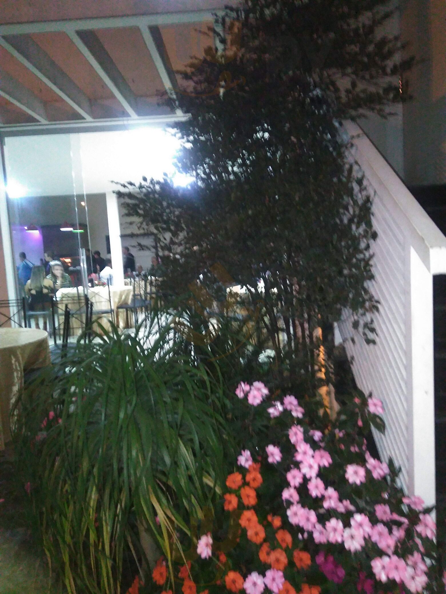 Lounge Cafe