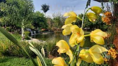 Restaurante Cheiro Da Terra