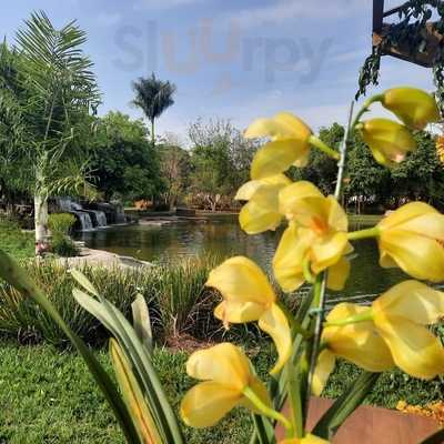 Restaurante Cheiro Da Terra