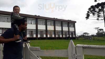Restaurante Tempero Do Campo