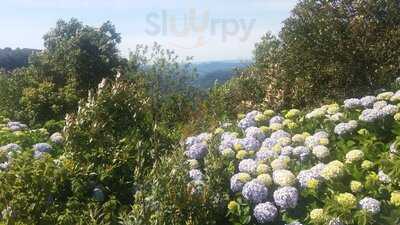 Restaurante Panoramico