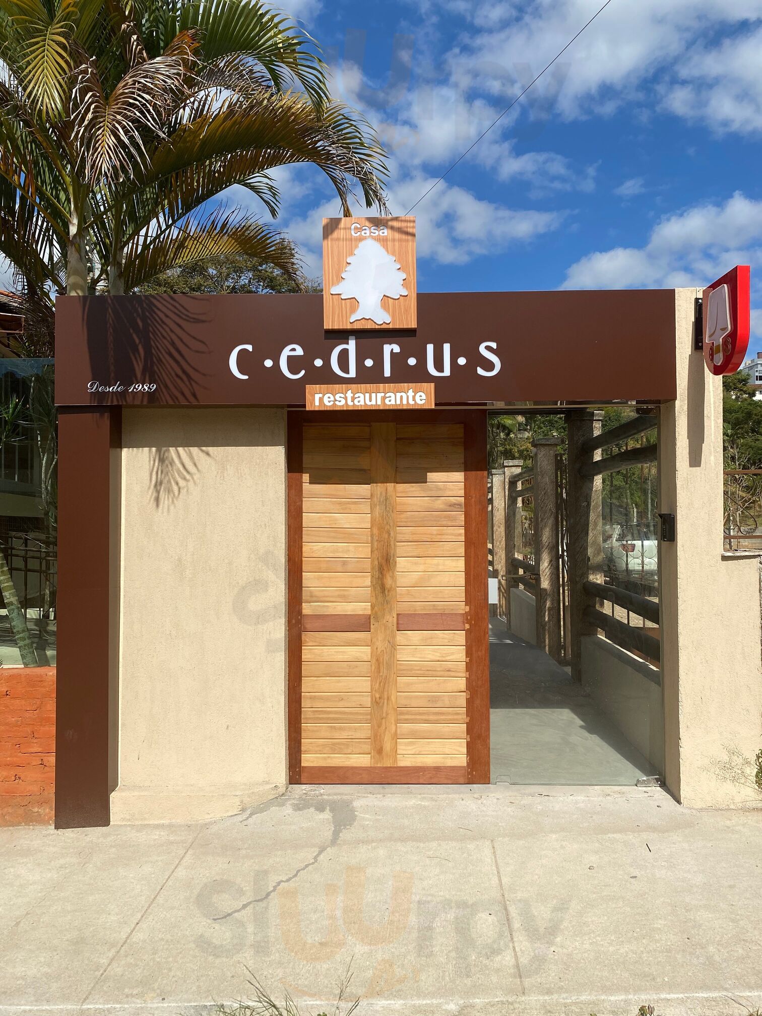 Cedrus
