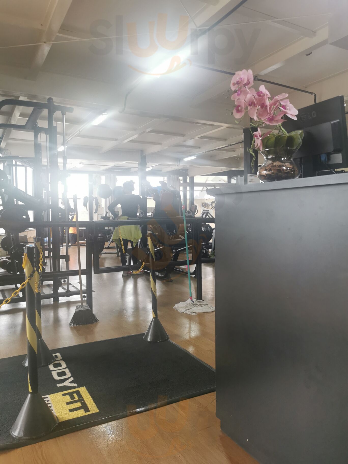 Açaí Fit