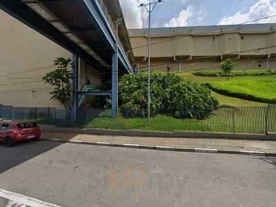 M Chapola Chocolates