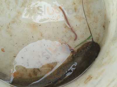 Parque Nascente Do Lazer